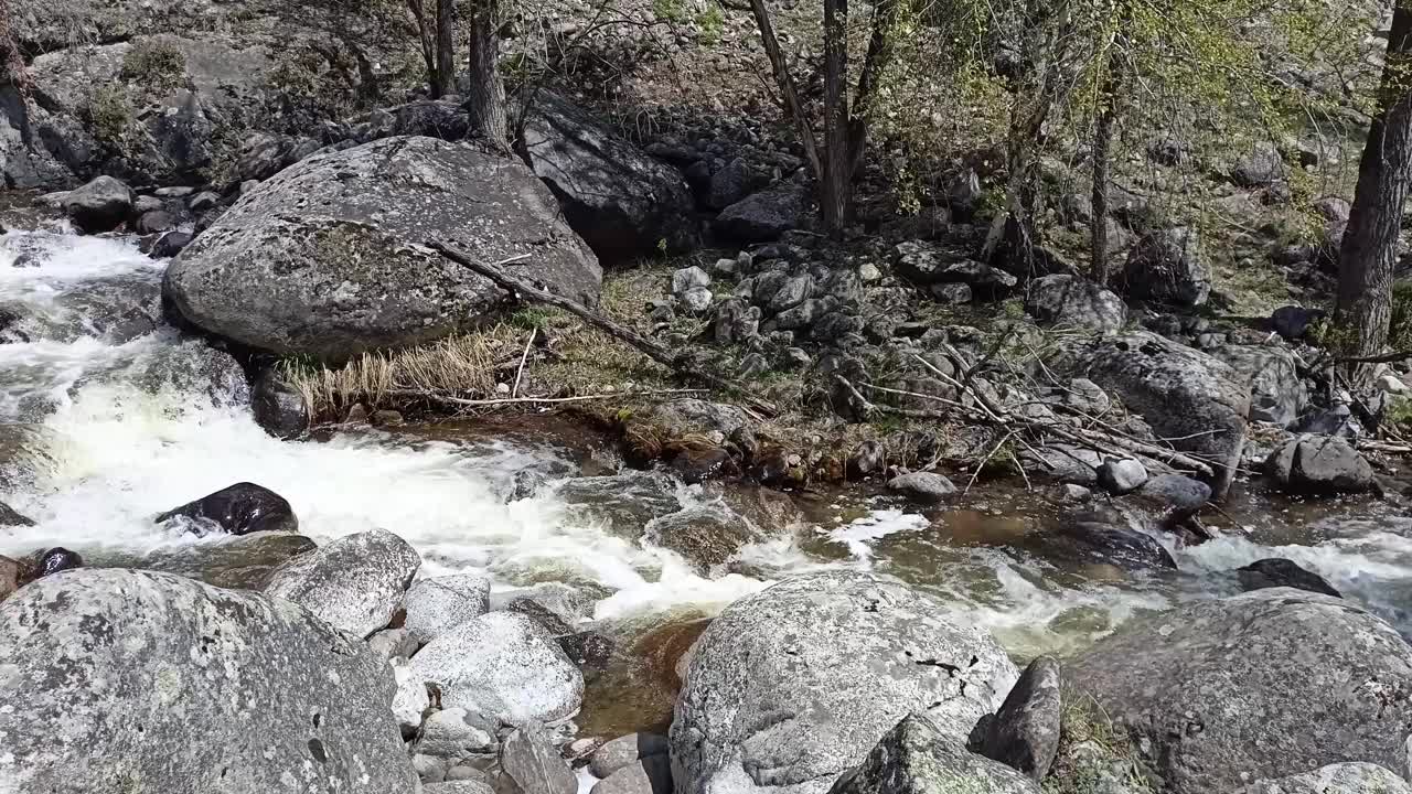 一条湍急的小溪从山上流过森林，弯折着河道里的大石头。视频素材