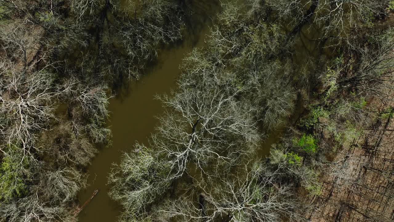 贝尔斯劳州立野生动物管理区与风景秀丽的溪流在阿肯色州，美国-空中无人机拍摄视频素材