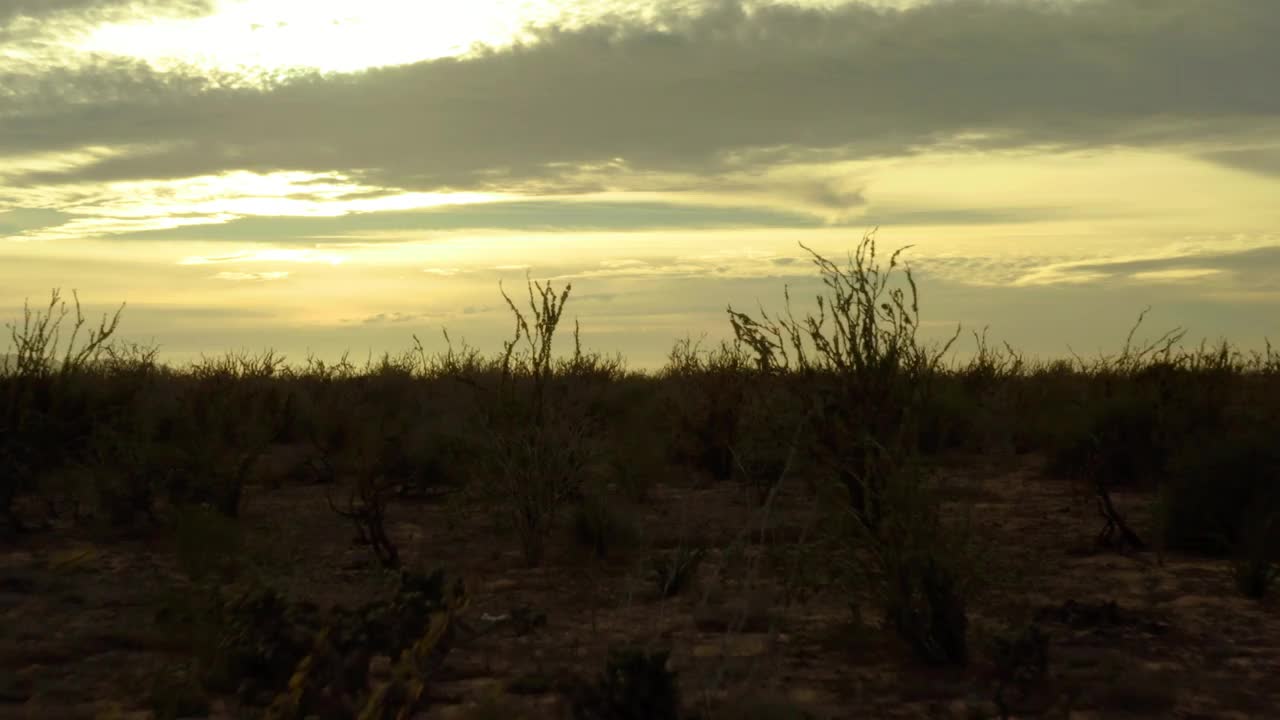 夕阳在广阔干燥的下加利福尼亚沙漠与金色的天空，无人机多莉上升视频素材