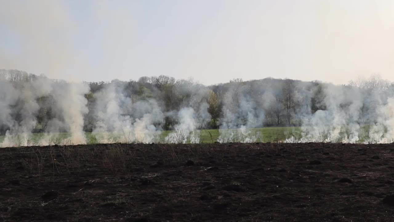 草地上燃烧着干草。田野里着火了。环境灾害、环境、气候变化、环境污染视频下载