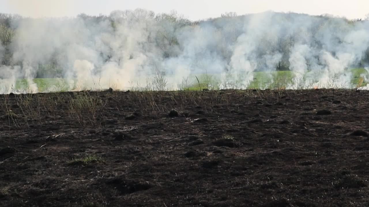 草地上燃烧着干草。田野里着火了。环境灾害、环境、气候变化、环境污染视频素材