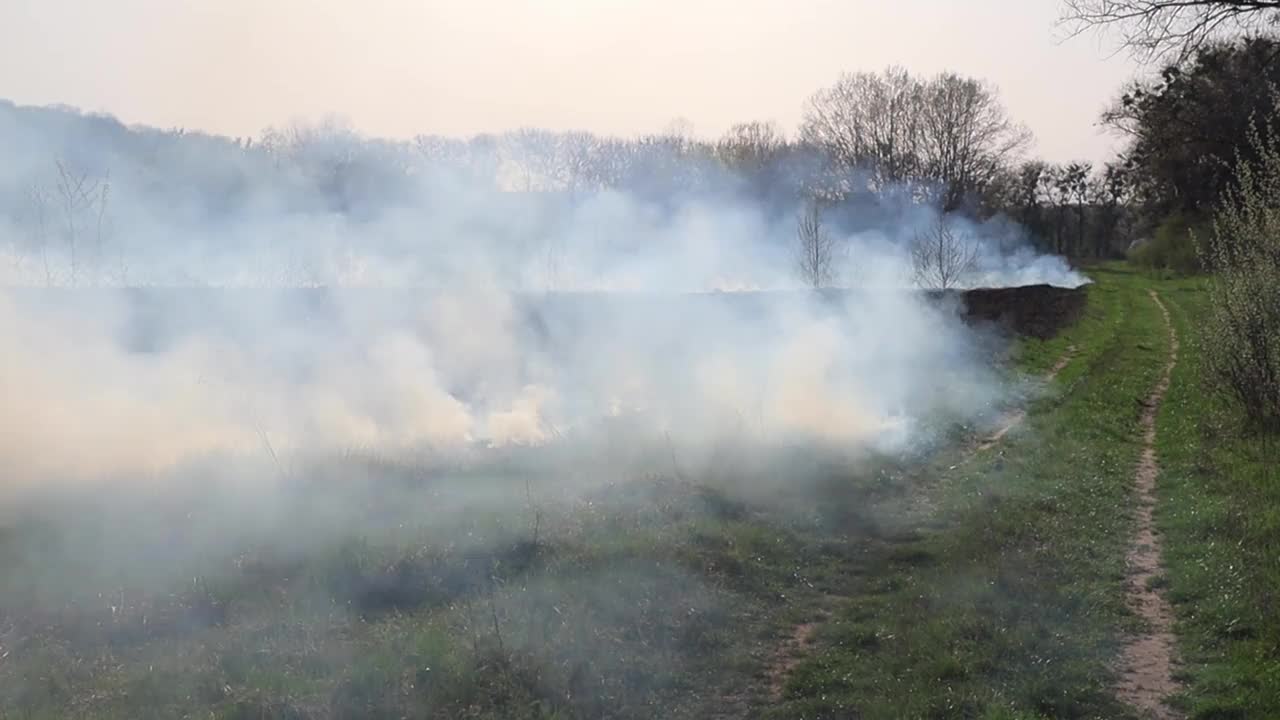 草地上燃烧着干草。田野里着火了。环境灾害、环境、气候变化、环境污染视频素材