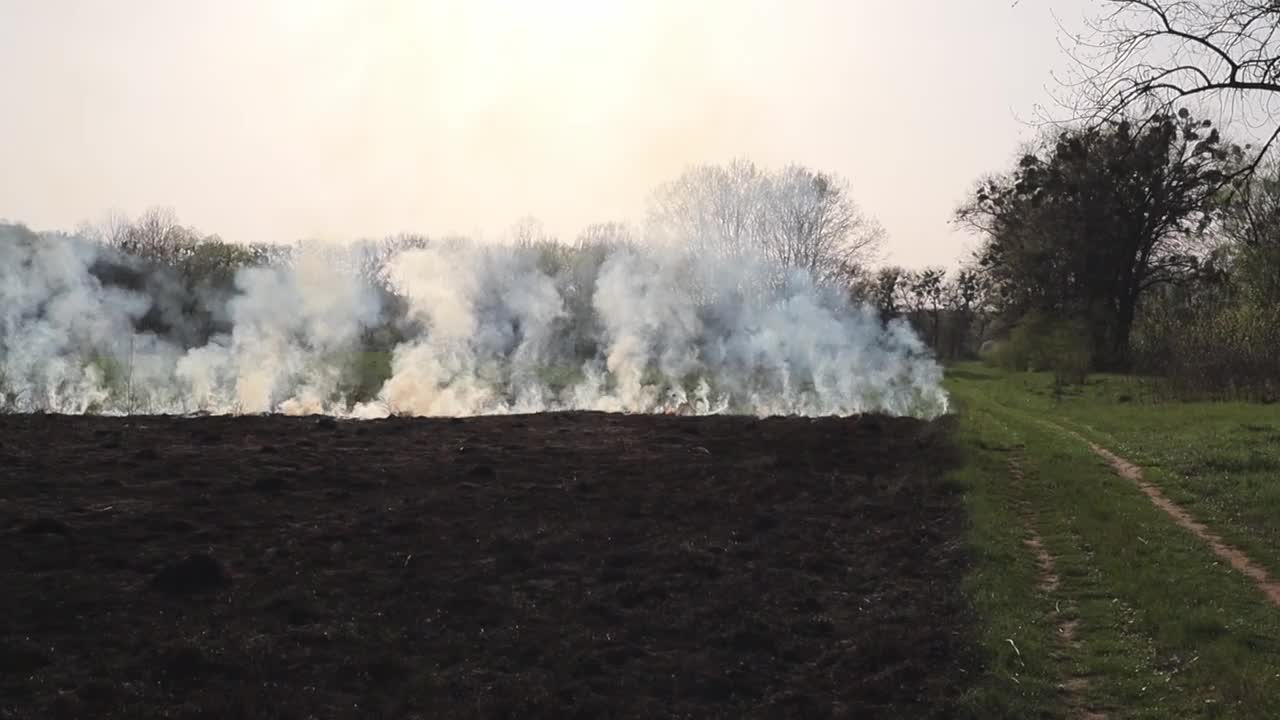 草地上燃烧着干草。田野里着火了。环境灾害、环境、气候变化、环境污染视频下载