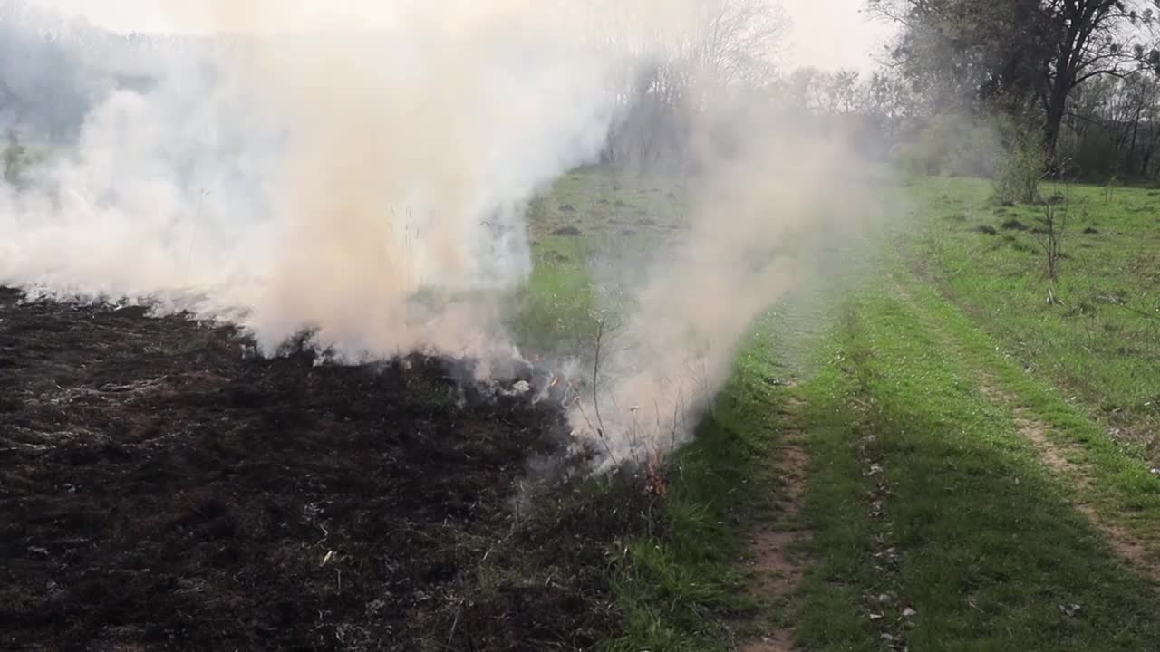 草地上燃烧着干草。田野里着火了。环境灾害、环境、气候变化、环境污染视频下载