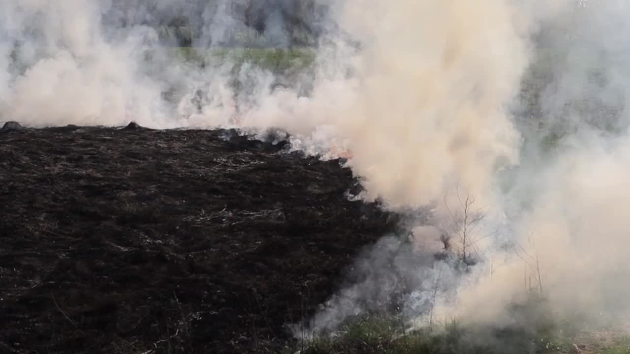 草地上燃烧着干草。田野里着火了。环境灾害、环境、气候变化、环境污染视频素材