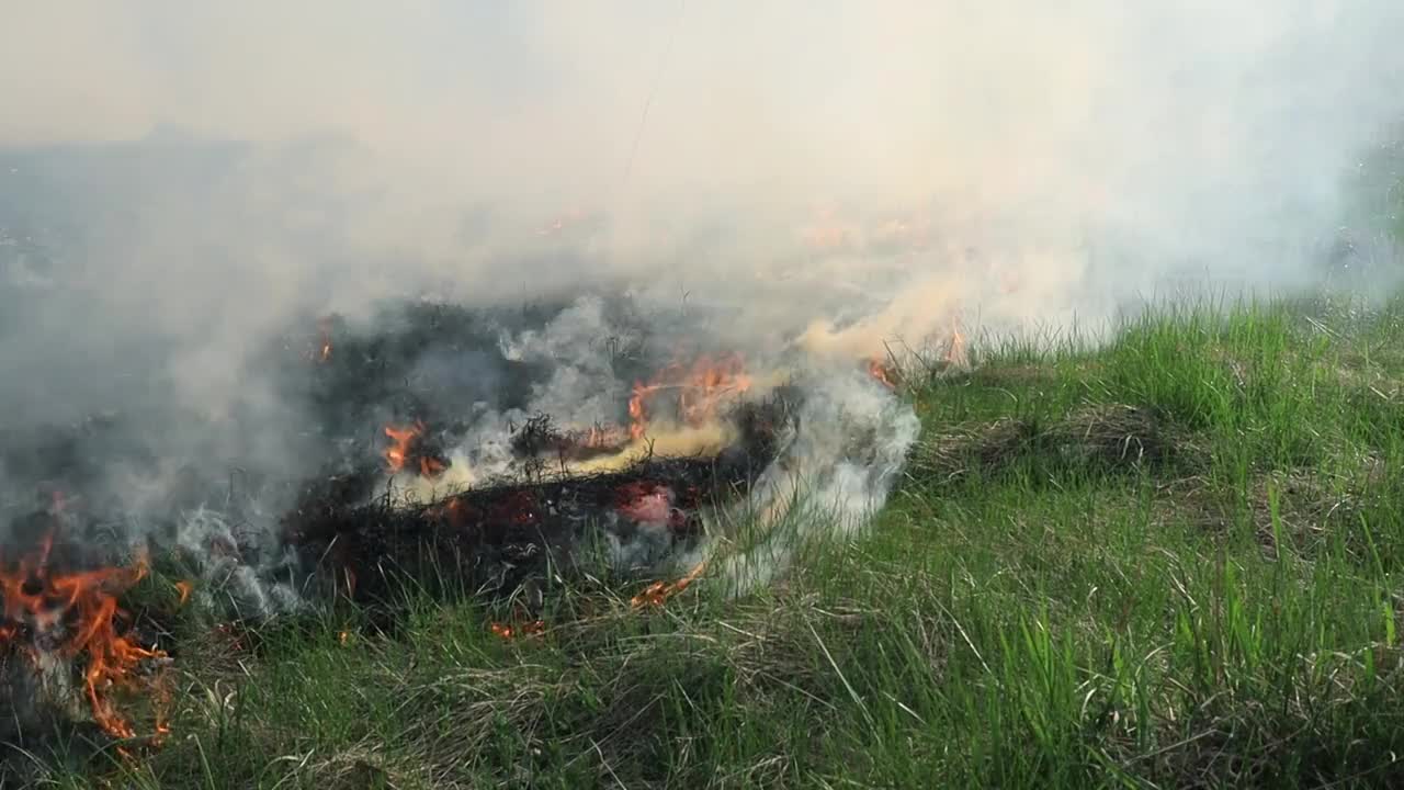 草地上燃烧着干草。田野里着火了。环境灾害、环境、气候变化、环境污染视频素材