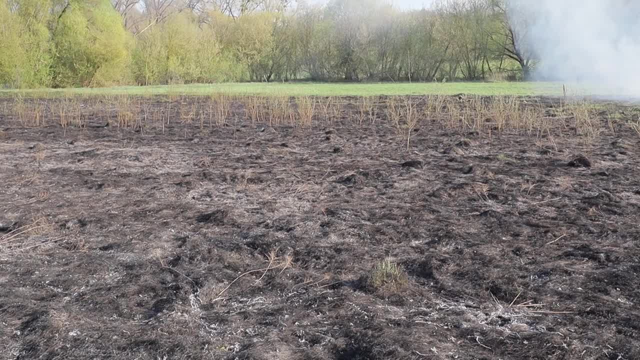 草地上燃烧着干草。田野里着火了。环境灾害、环境、气候变化、环境污染视频素材