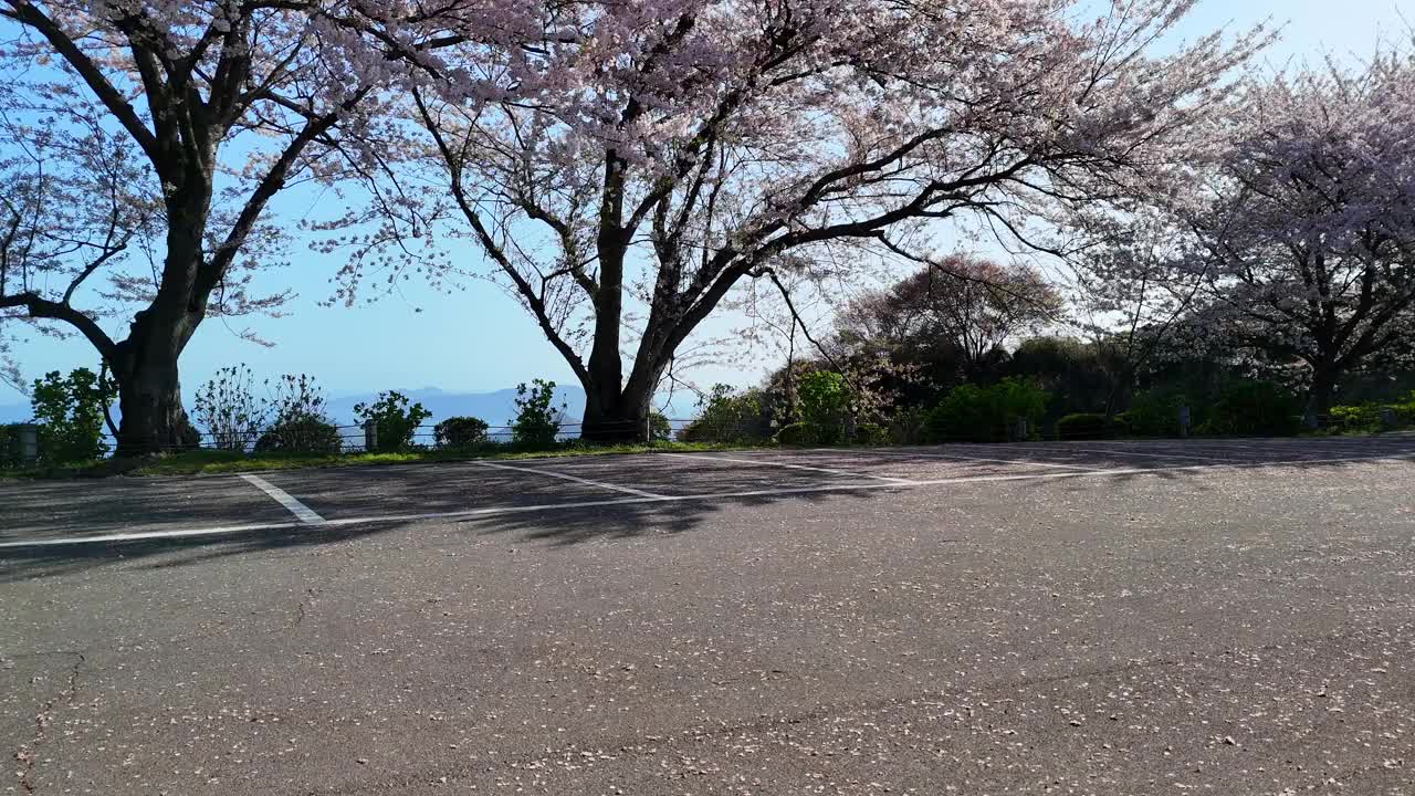 香川县三代市的静山的樱花和濑户内海视频素材