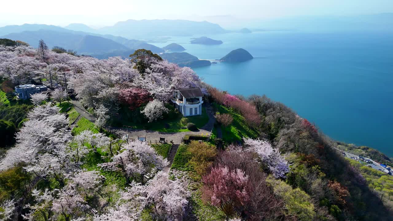 香川县三代市的静山的樱花和濑户内海视频素材