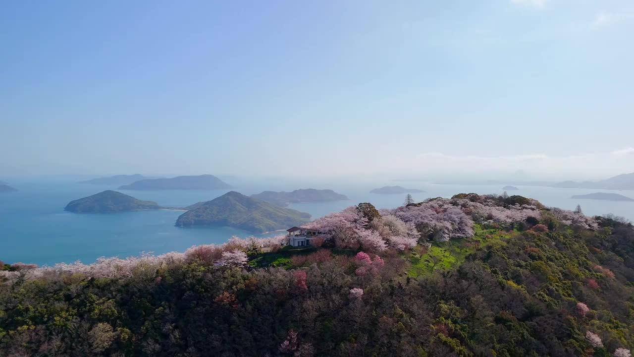 香川县三代市的静山的樱花和濑户内海视频素材