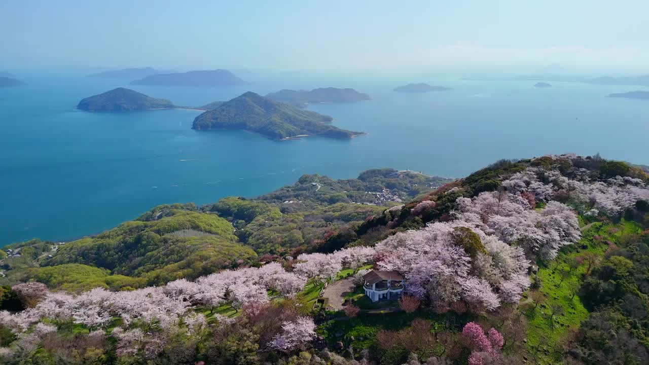 香川县三代市的静山的樱花和濑户内海视频素材