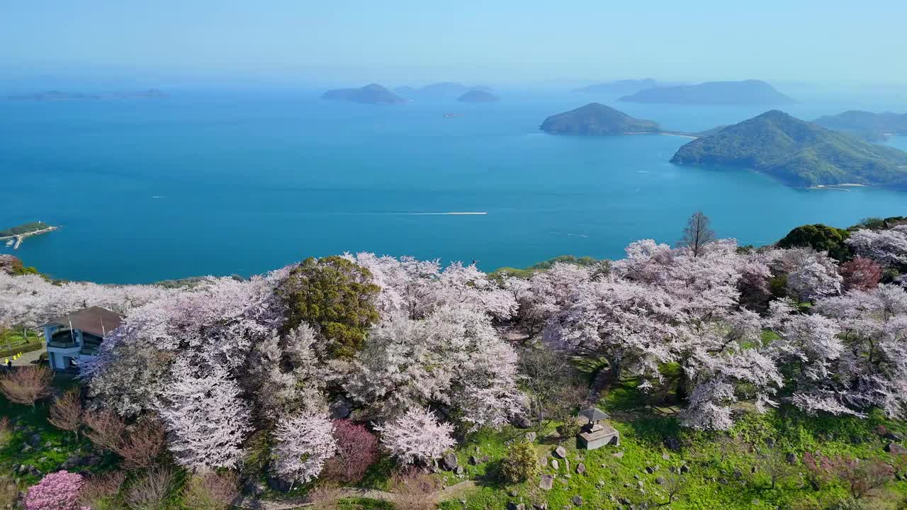 香川县三代市的静山的樱花和濑户内海视频素材