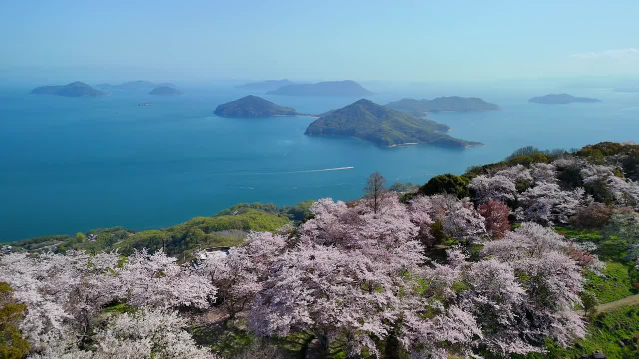 香川县三代市的静山的樱花和濑户内海视频素材