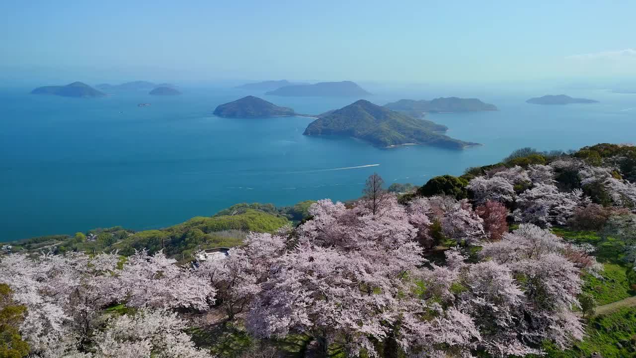 香川县三代市的静山的樱花和濑户内海视频素材