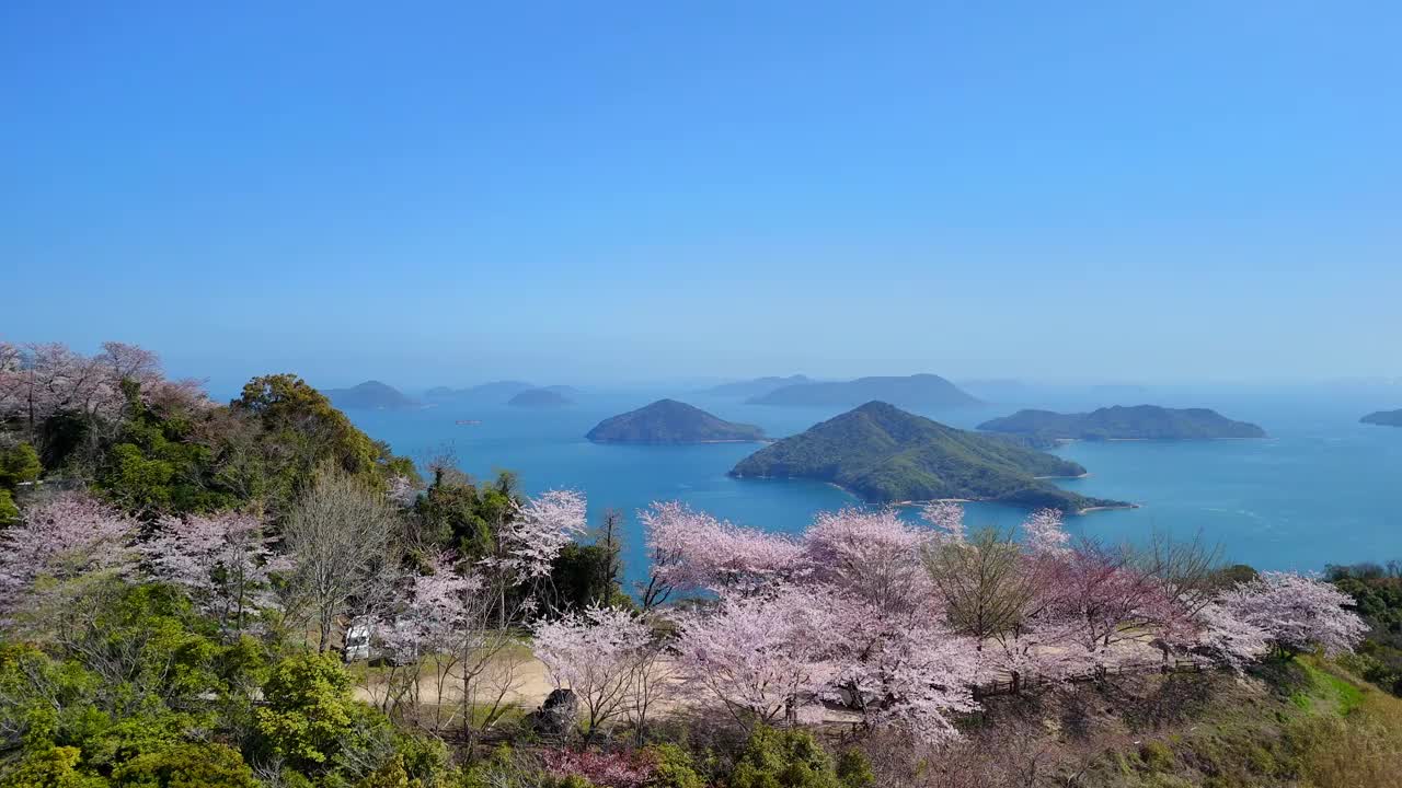 香川县三代市的静山的樱花和濑户内海视频下载