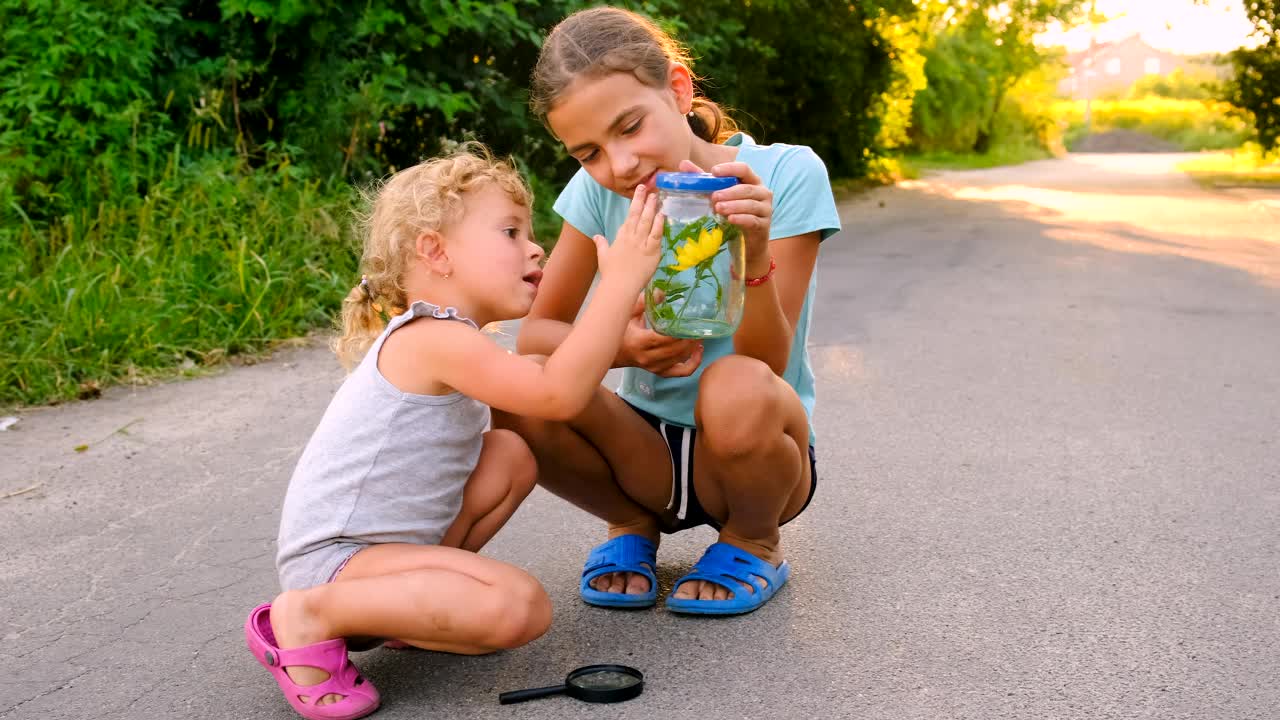 孩子们用放大镜观察大自然。有选择性的重点。孩子。视频素材