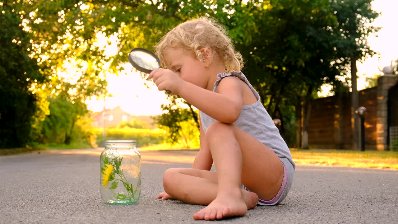 孩子们用放大镜观察大自然。有选择性的重点。孩子。视频素材