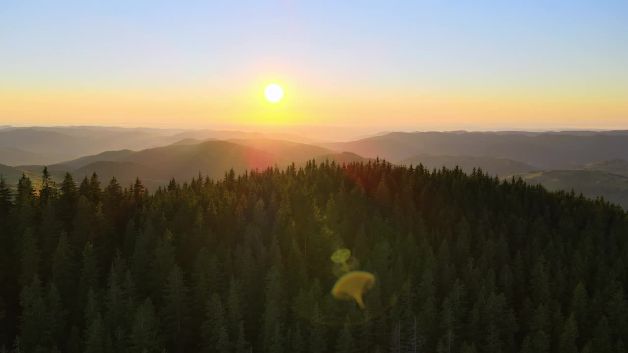 美丽的自然景观。鸟瞰山野中五彩缤纷的日落。黑暗的松林被明亮的夕阳照亮视频素材