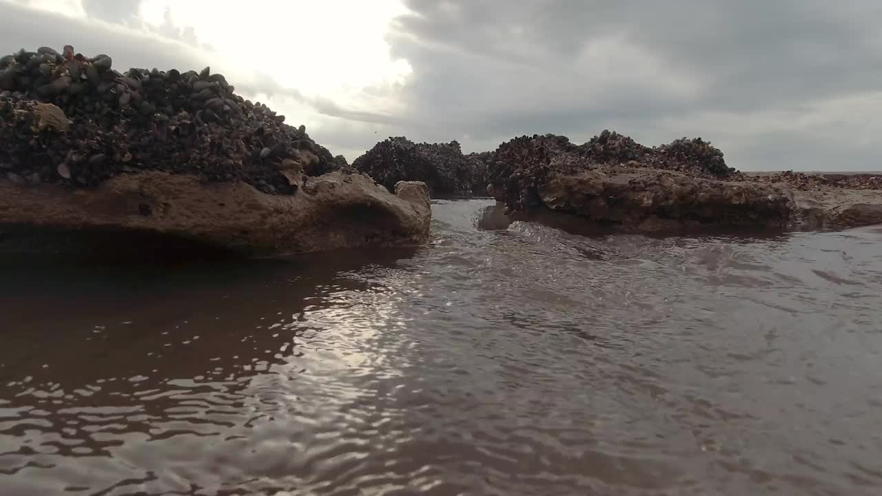 海水在海滩上覆盖着软体动物的岩石间流动。视频下载