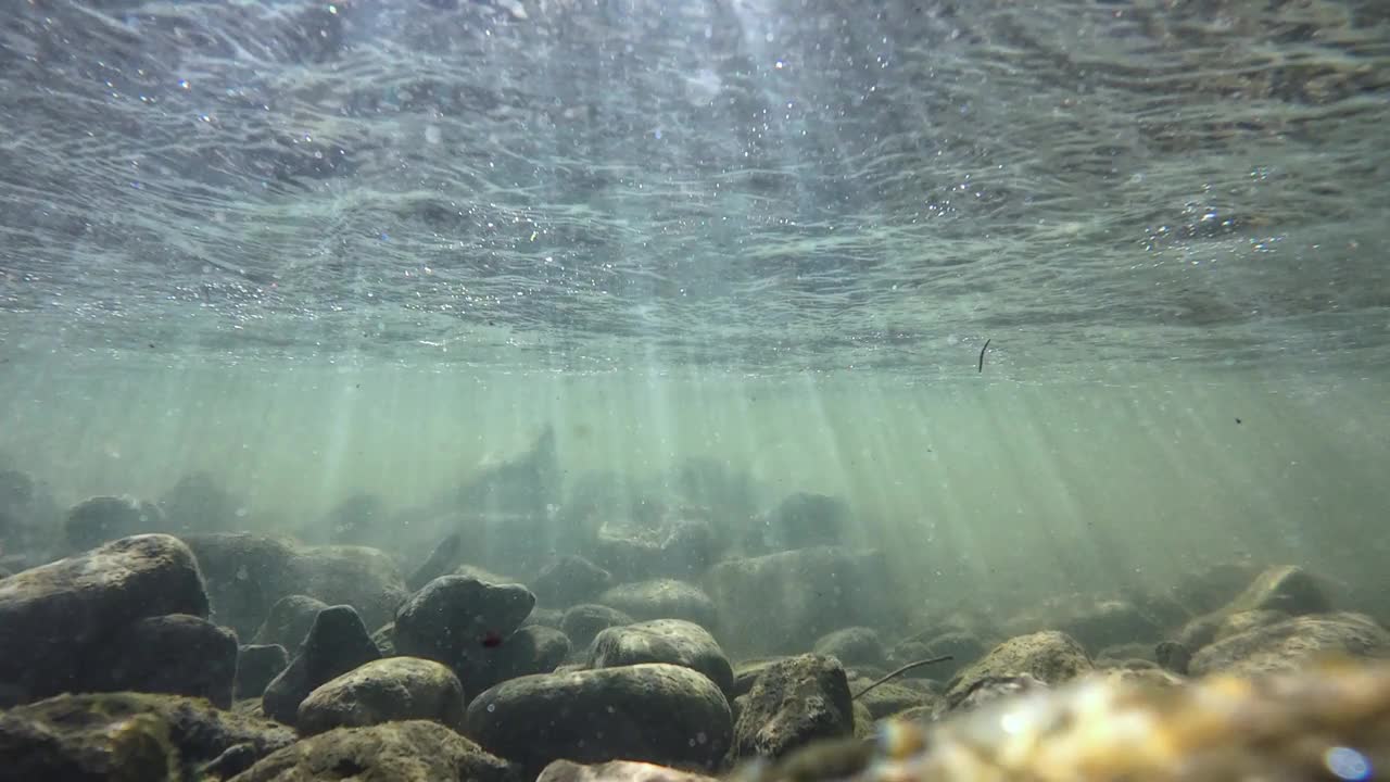 水下视频的溪流与石头和阳光在流动的水视频下载