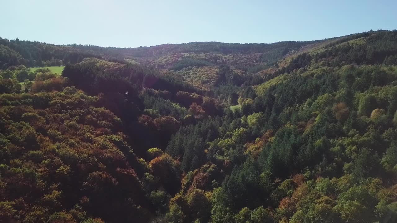 在一个阳光明媚的日子里，法国一个风景优美的茂密充满活力的山林的航拍镜头视频素材