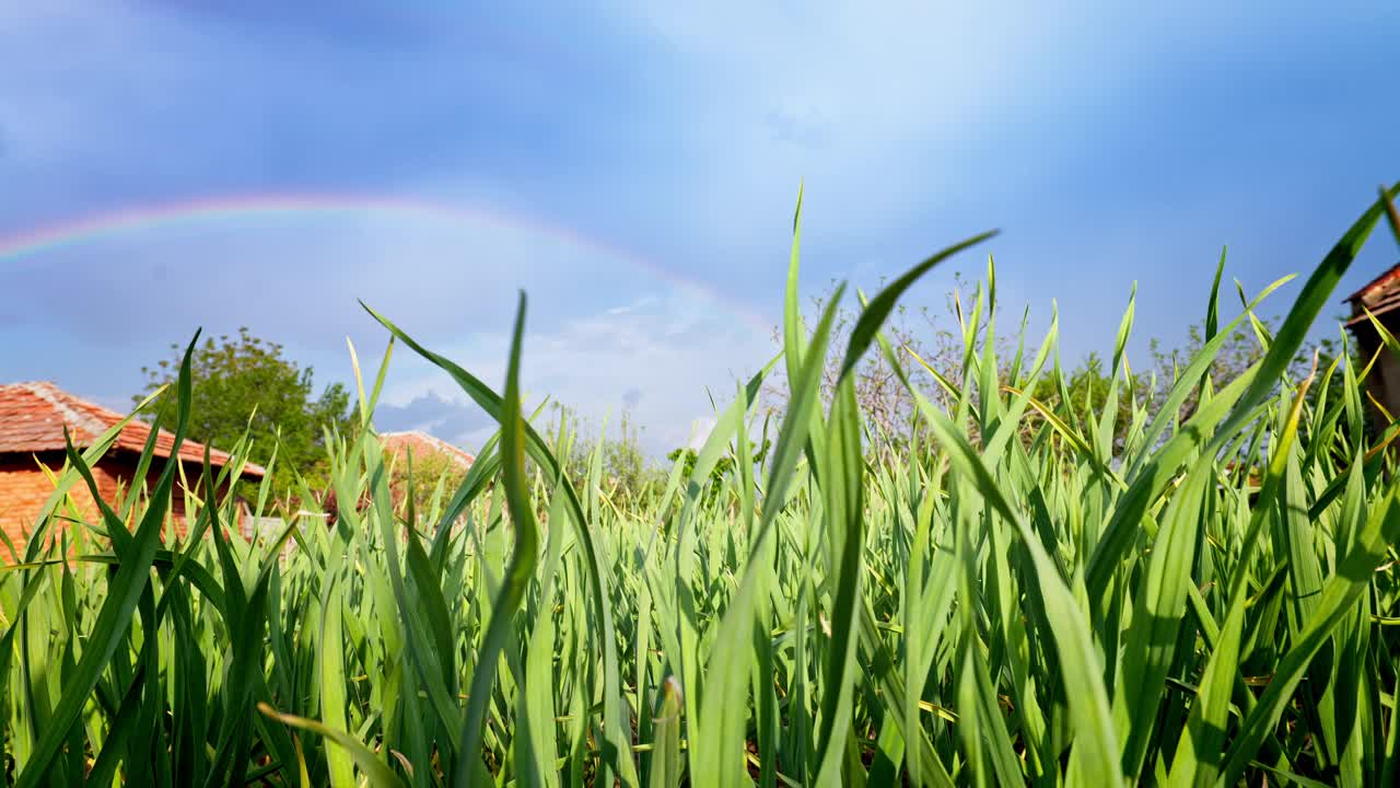 雨后的彩虹出现在保加利亚农村的农田里视频素材