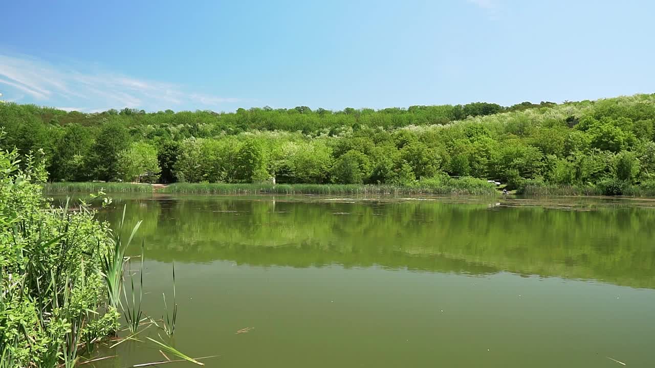 布鲁日湖被树林环绕，岸边有木制码头视频素材