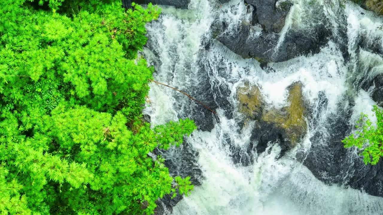 美丽的热带森林中的瀑布。无人机的观点。视频下载