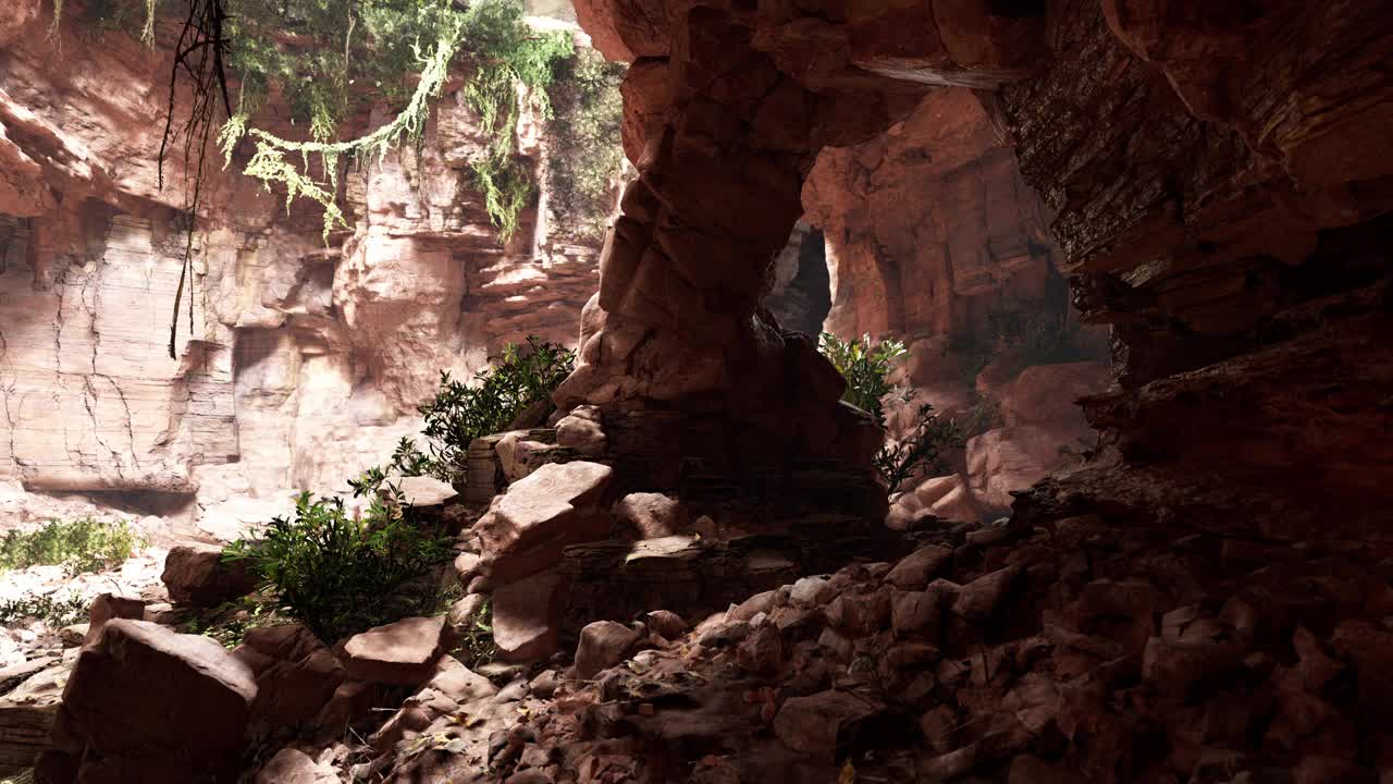 一个充满岩石和树木的风景秀丽的洞穴视频素材