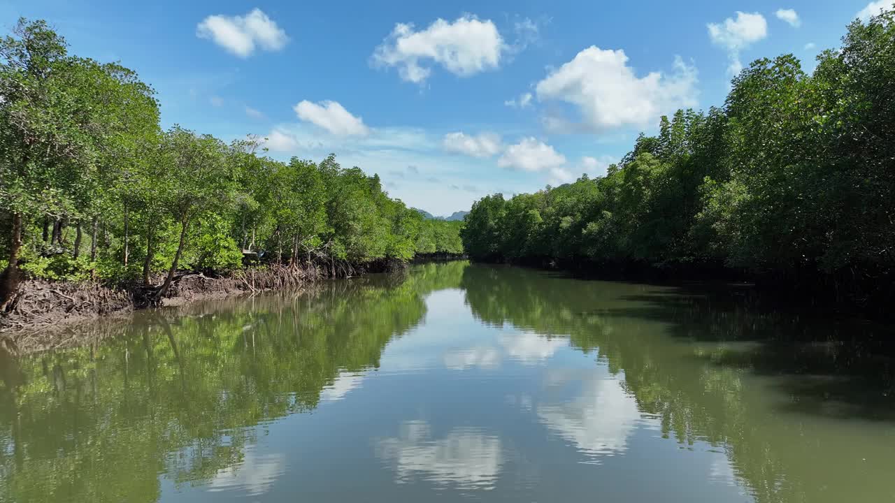 空中飞过红树林和运河，攀牙湾，泰国视频下载