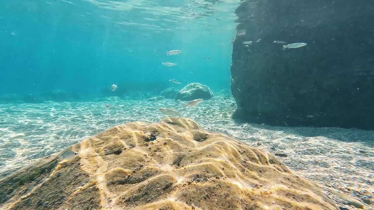 摄像机在海底清澈的海水中移动视频下载