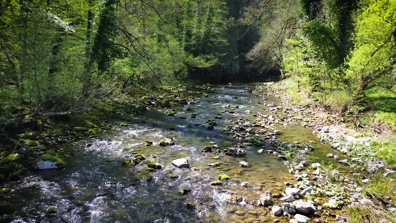 山水清流，山河流过，两岸覆盖着茂密的绿色森林，库存视频，4K视频素材