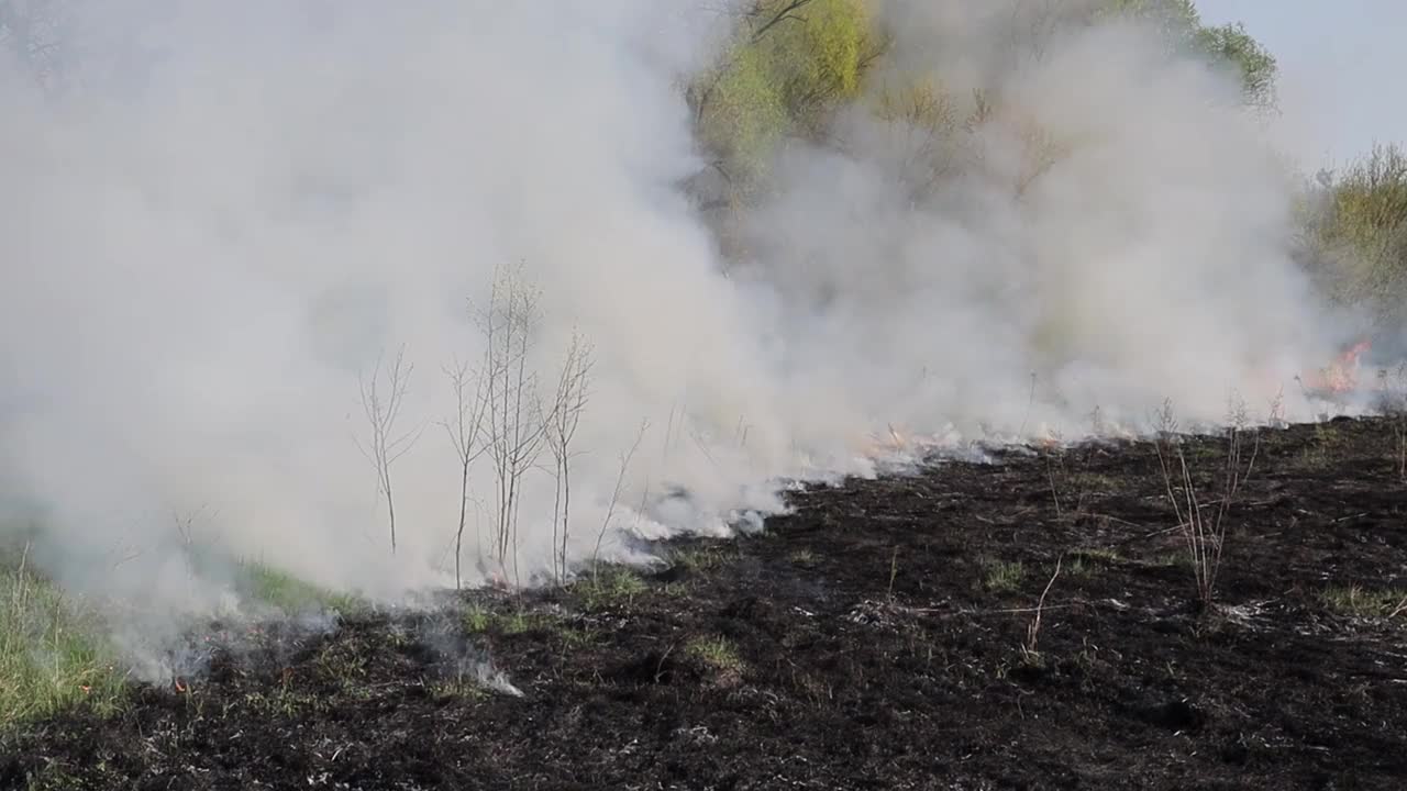 草地上燃烧着干草。田野里着火了。环境灾害、环境、气候变化、环境污染视频素材