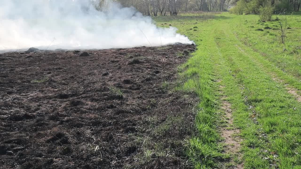 草地上燃烧着干草。田野里着火了。环境灾害、环境、气候变化、环境污染视频下载