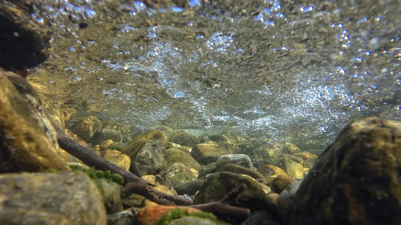 水下视频的溪流与石头和阳光在流动的水视频素材