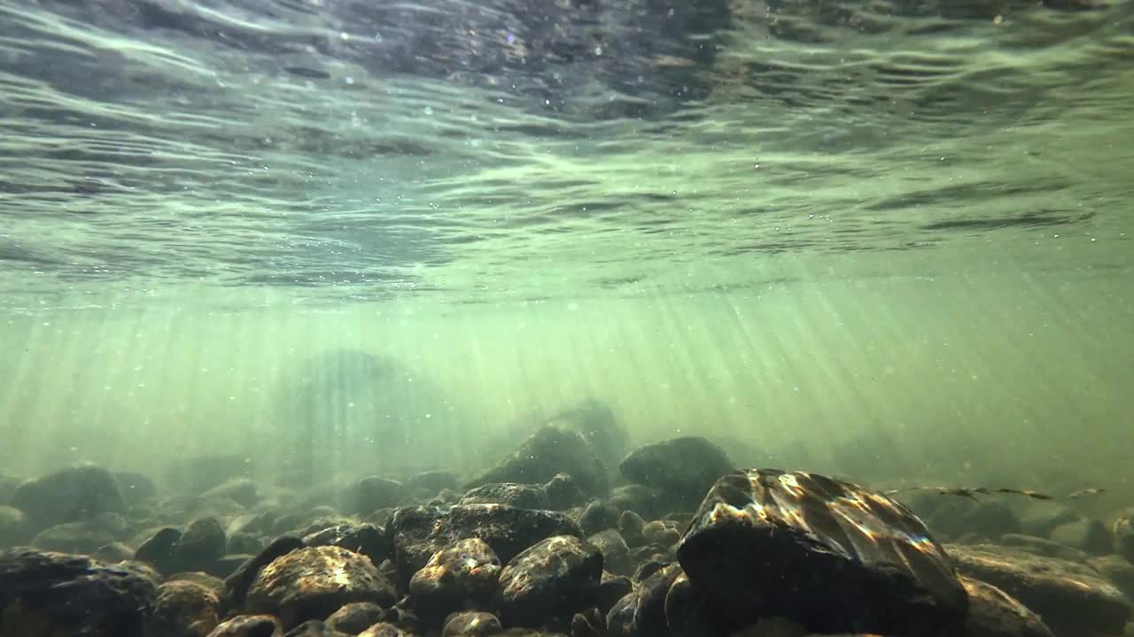 水下视频的溪流与石头和阳光在流动的水视频素材