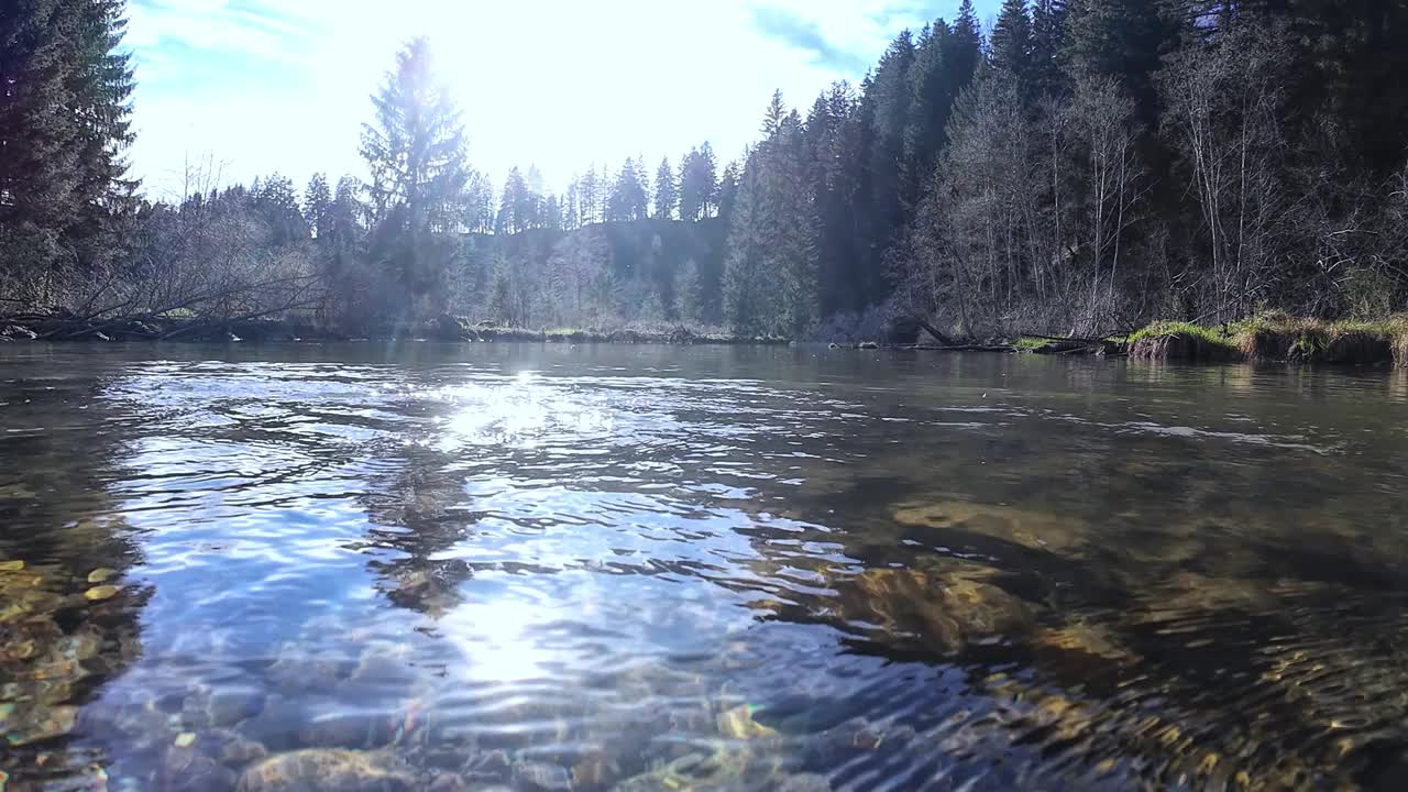 水下视频的溪流与石头和阳光在流动的水视频下载