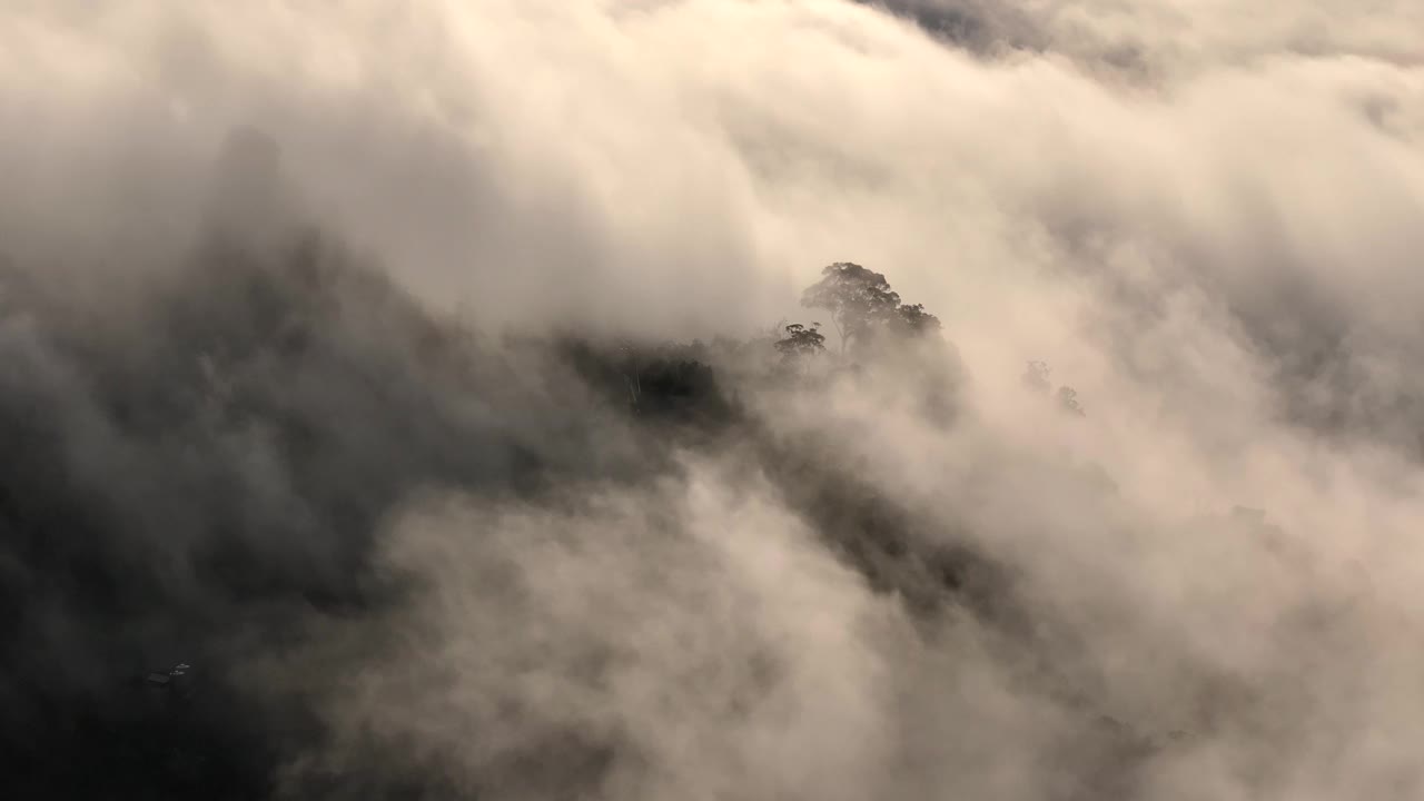 泰国南部的雅拉省，空中无人机拍摄的早晨有很多雾和薄雾的雨林视频素材