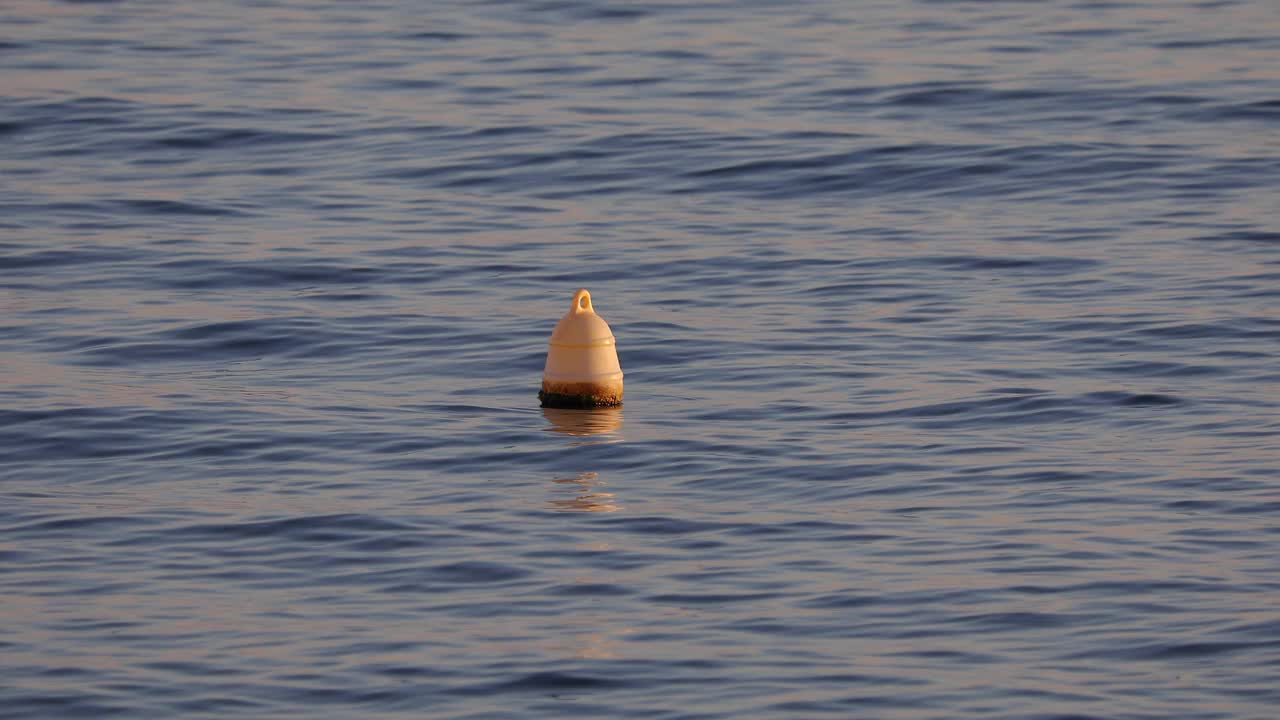 海面上漂浮着一个小浮标。视频下载