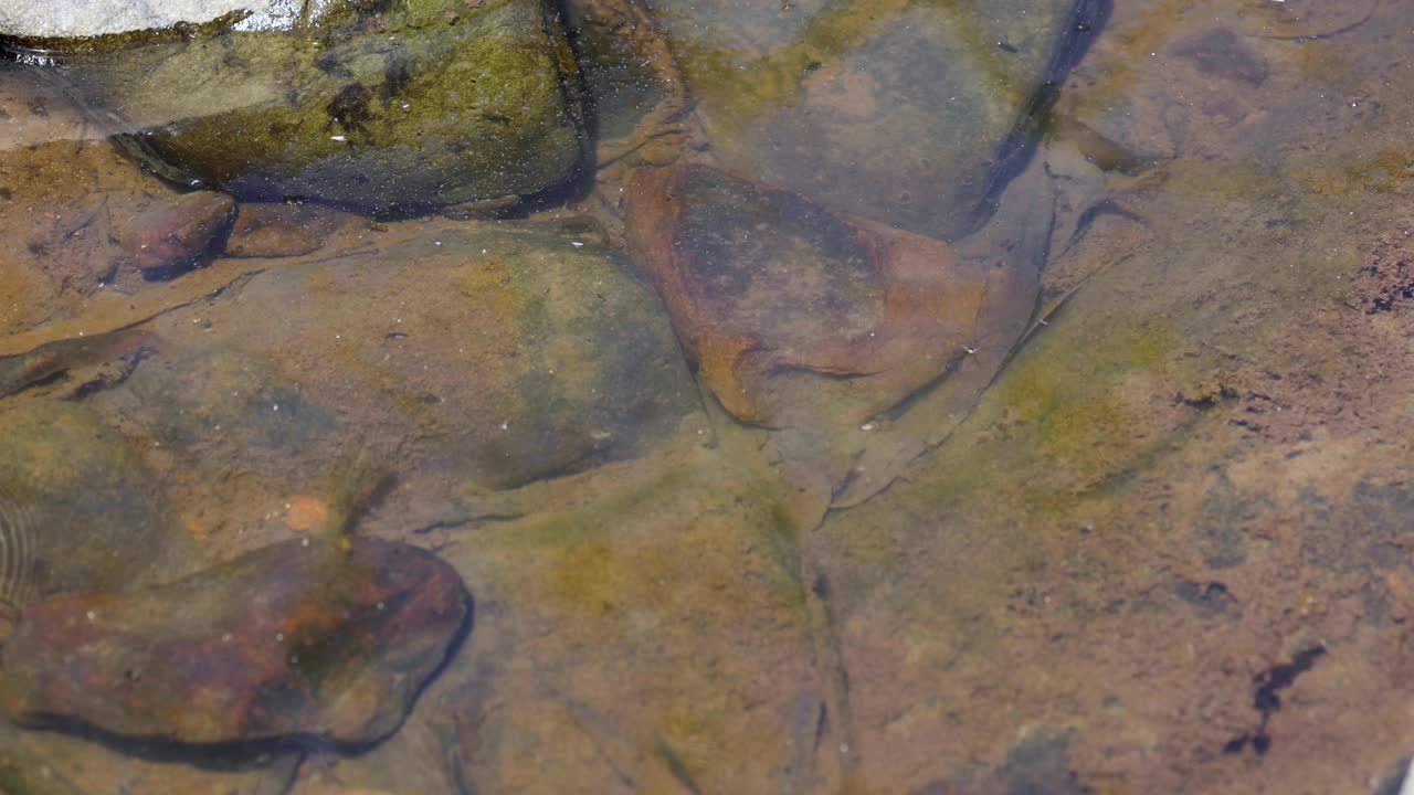 水流的细微变化视频素材