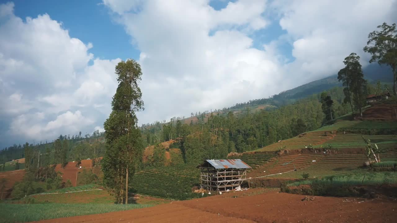 自然风光山脉自然全景丘陵，高大的绿树森林和绿色种植园斜坡在多云的蓝天下，白天视频素材