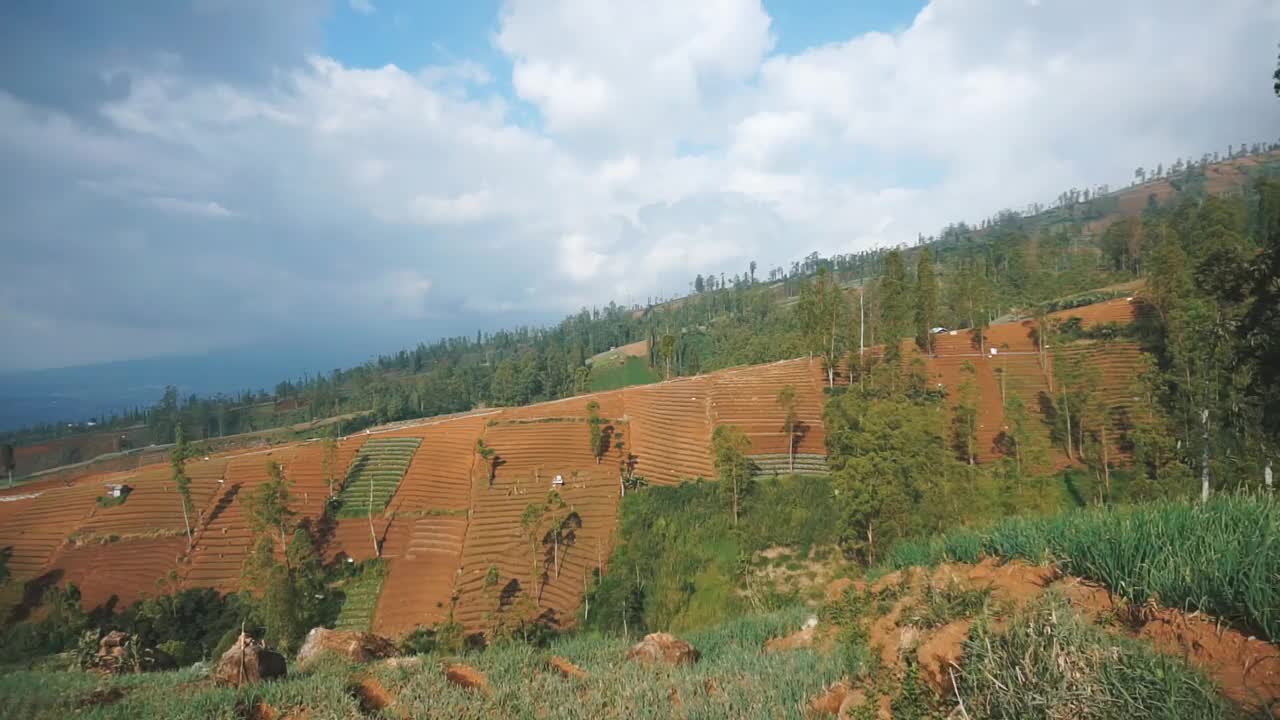 自然风光山脉自然全景丘陵，高大的绿树森林和绿色种植园斜坡在多云的蓝天下，白天视频素材