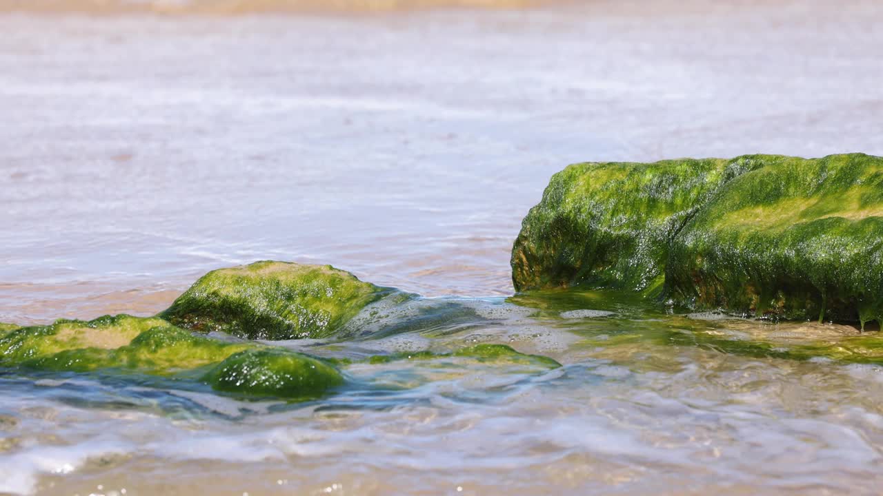 海浪拍打着长满苔藓的岩石视频素材