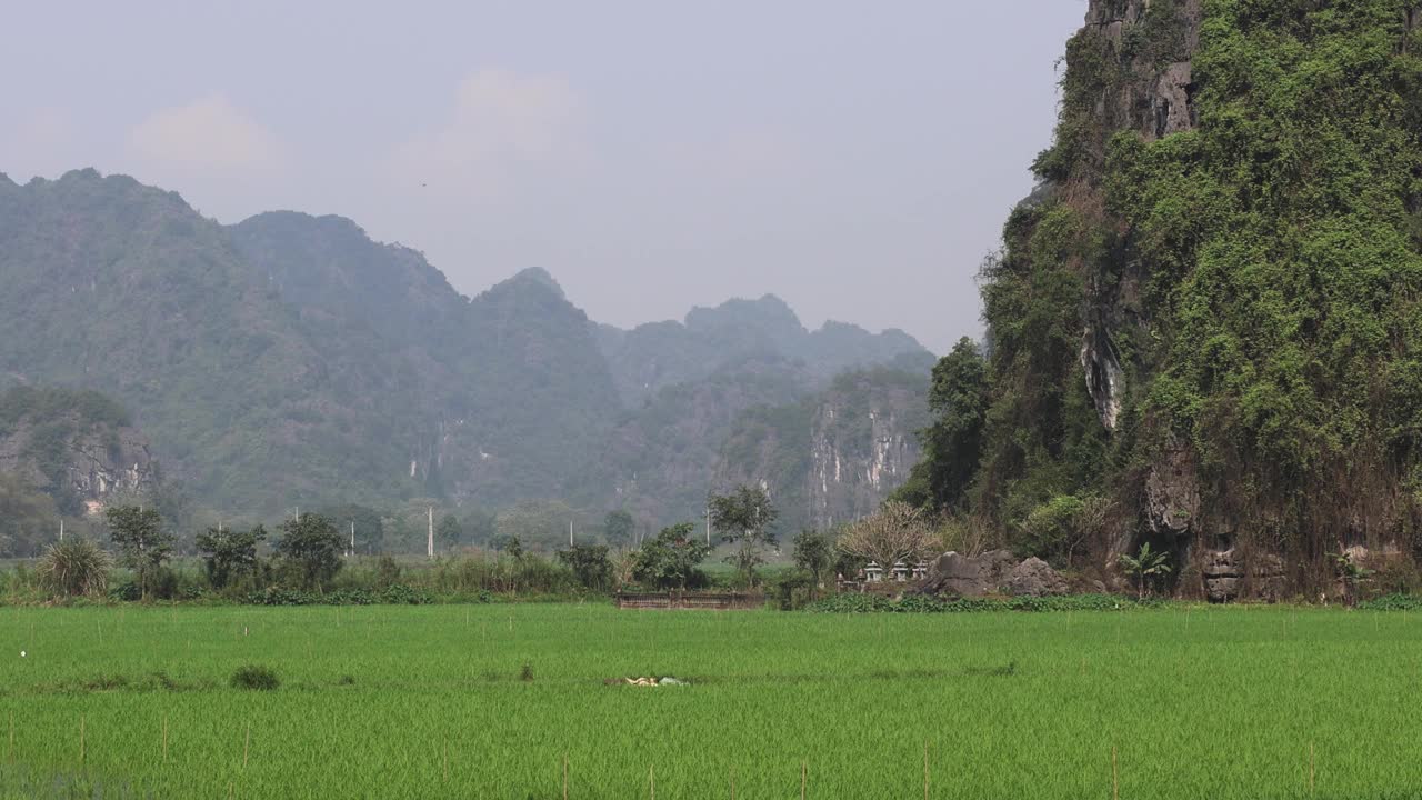 石灰岩喀斯特景观视频素材