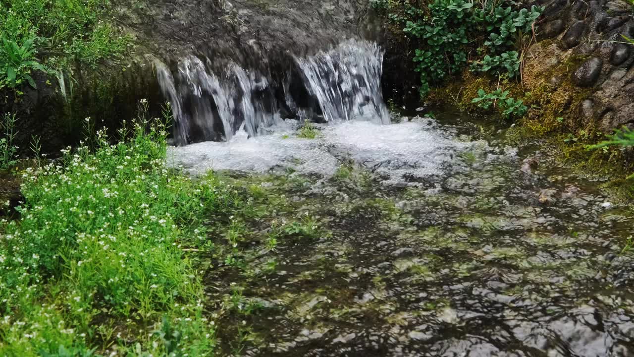 波黑斯坦尼西民族村的小瀑布。一个自然的场景和环境的宁静。清澈的小溪和绿油油的春草环绕。视频下载