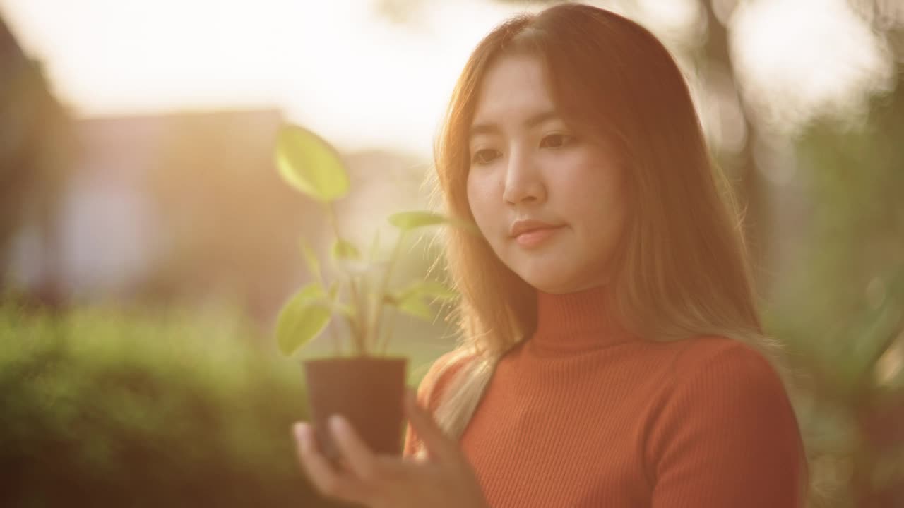 正在给小植物浇水的妇女。视频下载