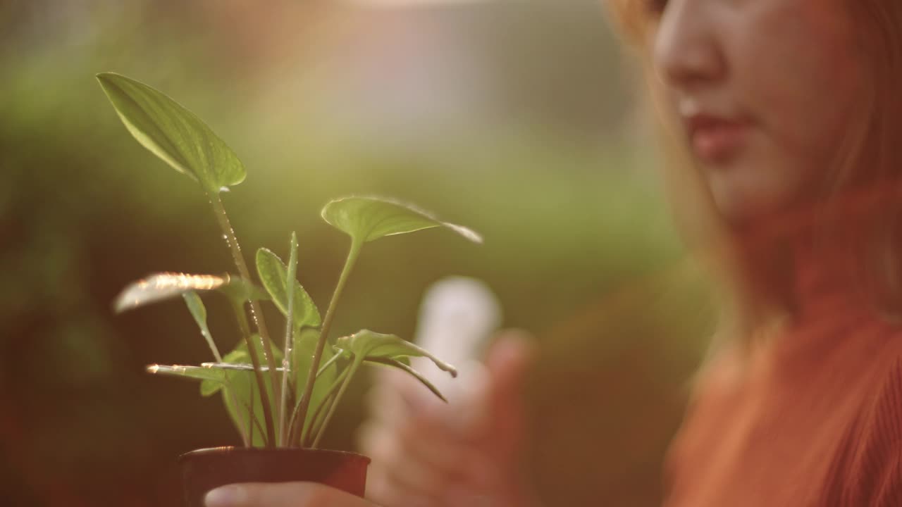 正在给小植物浇水的妇女。视频下载