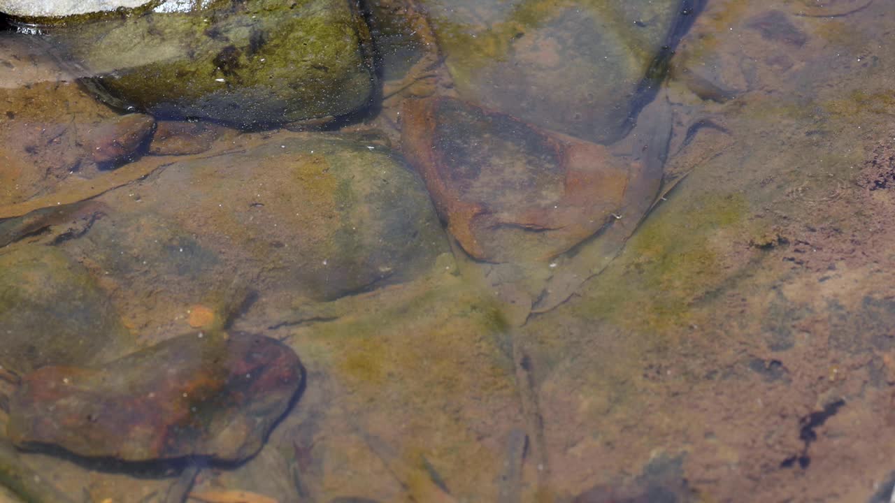 水流的细微变化视频素材