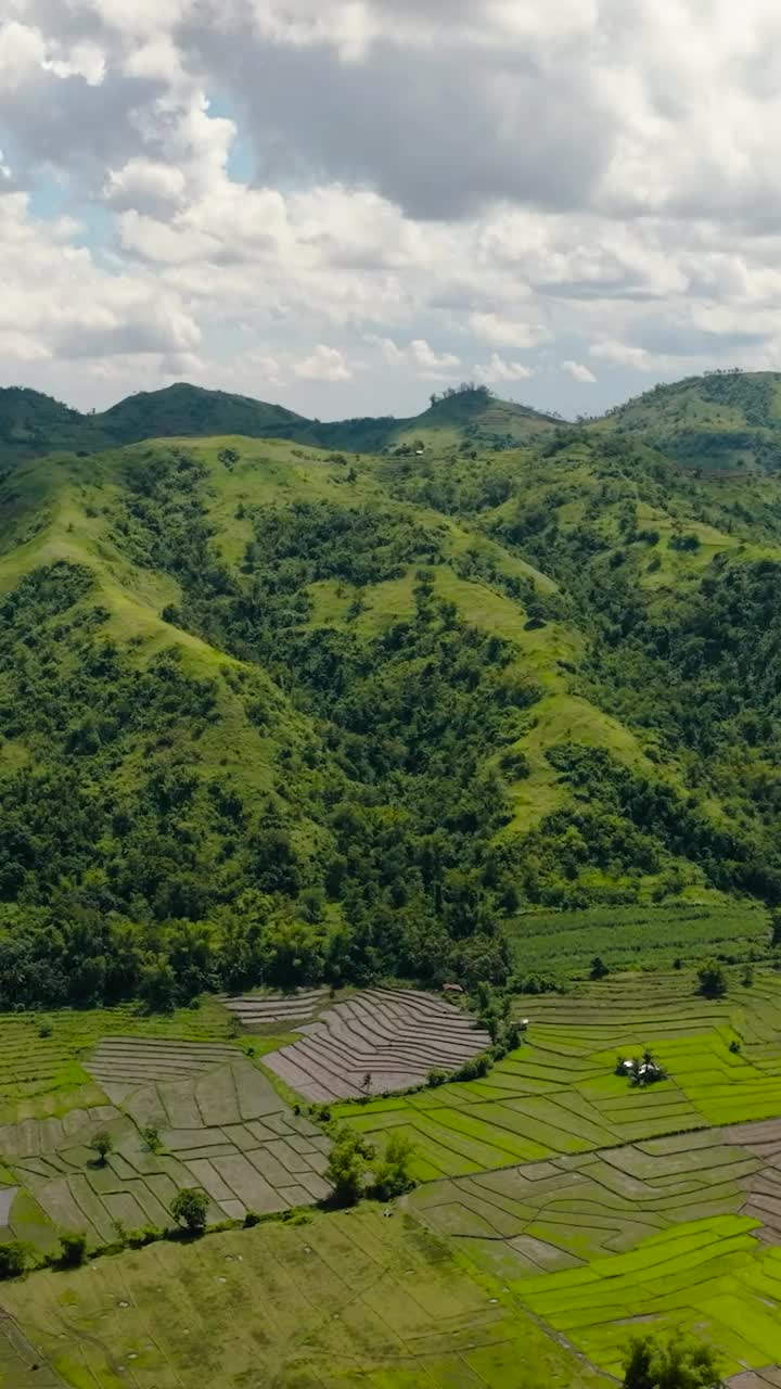 菲律宾的热带景观。视频素材