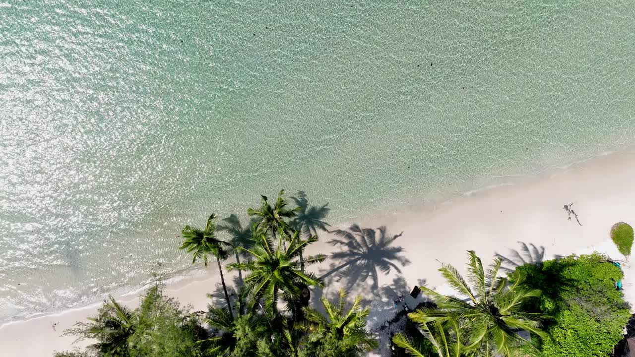 夏日棕榈树和热带海滩，蓝色的海滨背景视频素材